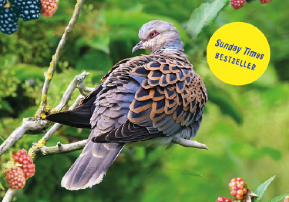 Verwildering voorkant