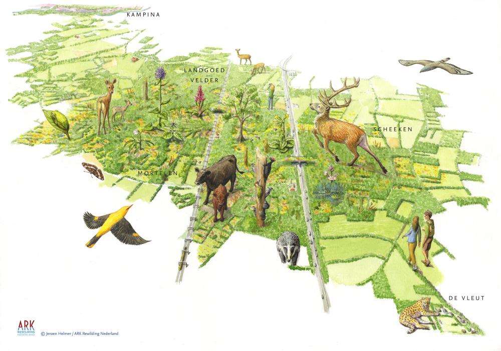 illustratie toekomstbeeld Het Groene Woud